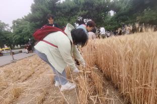 雷竞技下载途径截图0